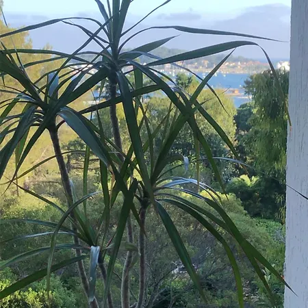 Charme & Calme-tamaris- Vue - Piscine - Le Petit Olivier Sur Apartment *